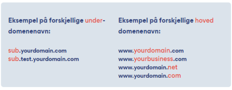 multidomene-wildcard